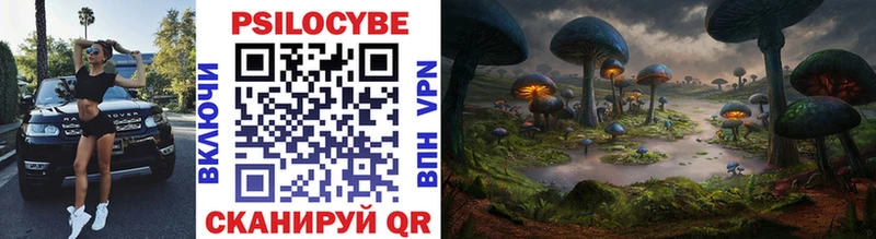 Галлюциногенные грибы Psilocybe  Купить  Злынка 